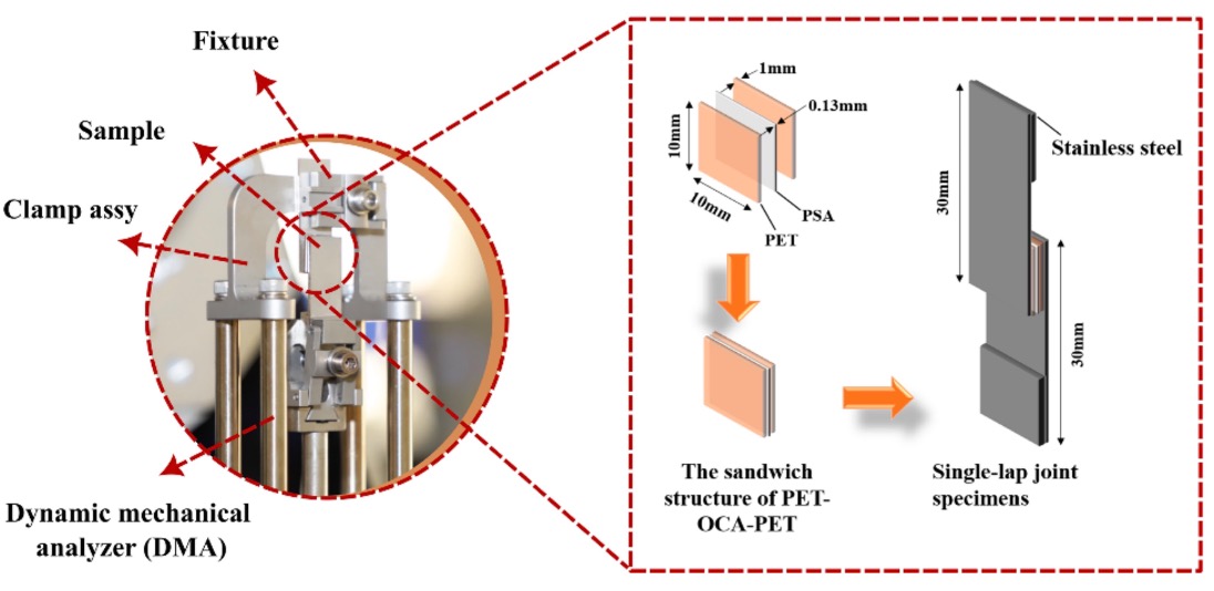 Dynamic mechanical analyzer fixture and PET-OCA-PET single-lap joint specimen